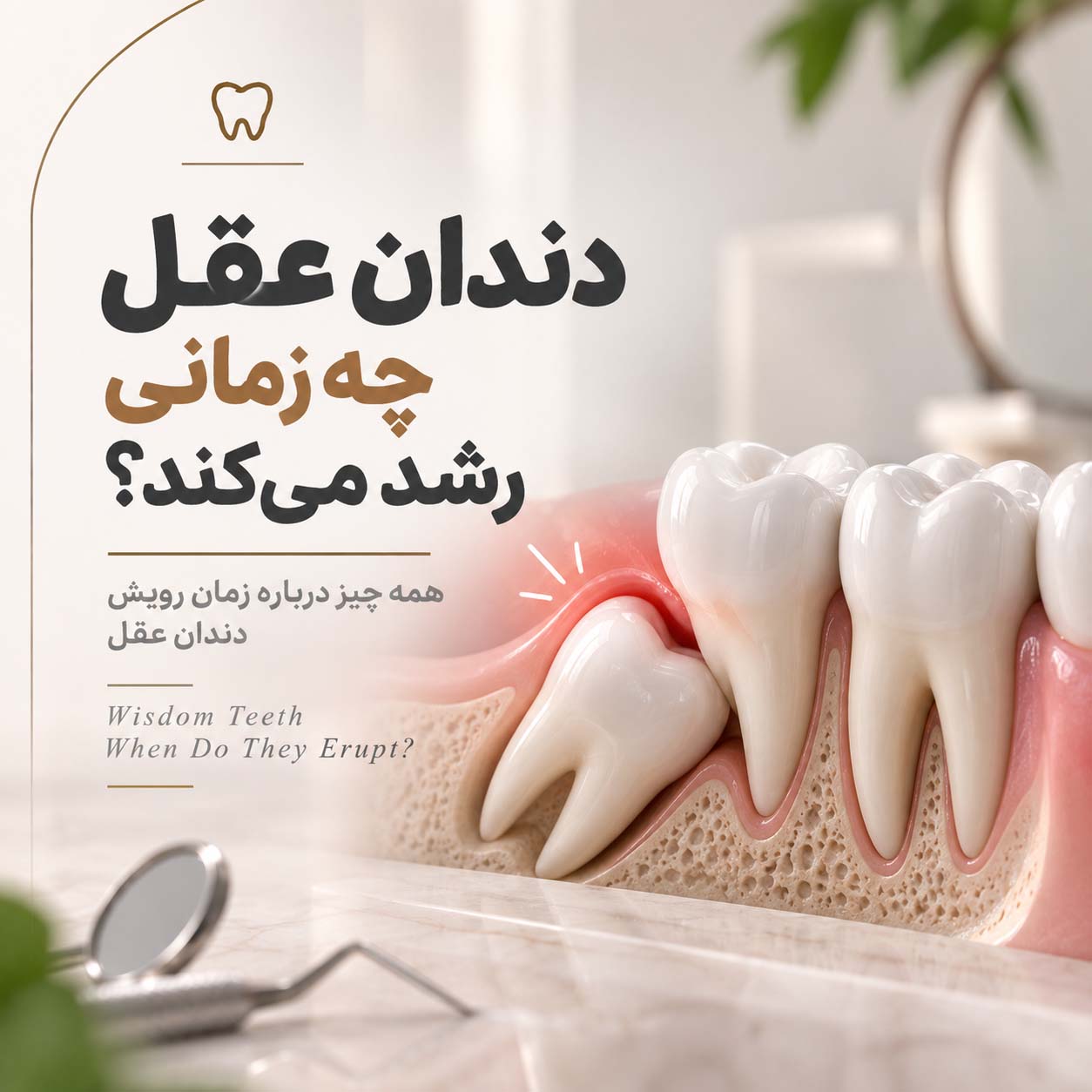 دندان عقل چه زمانی رشد می‌کند؟